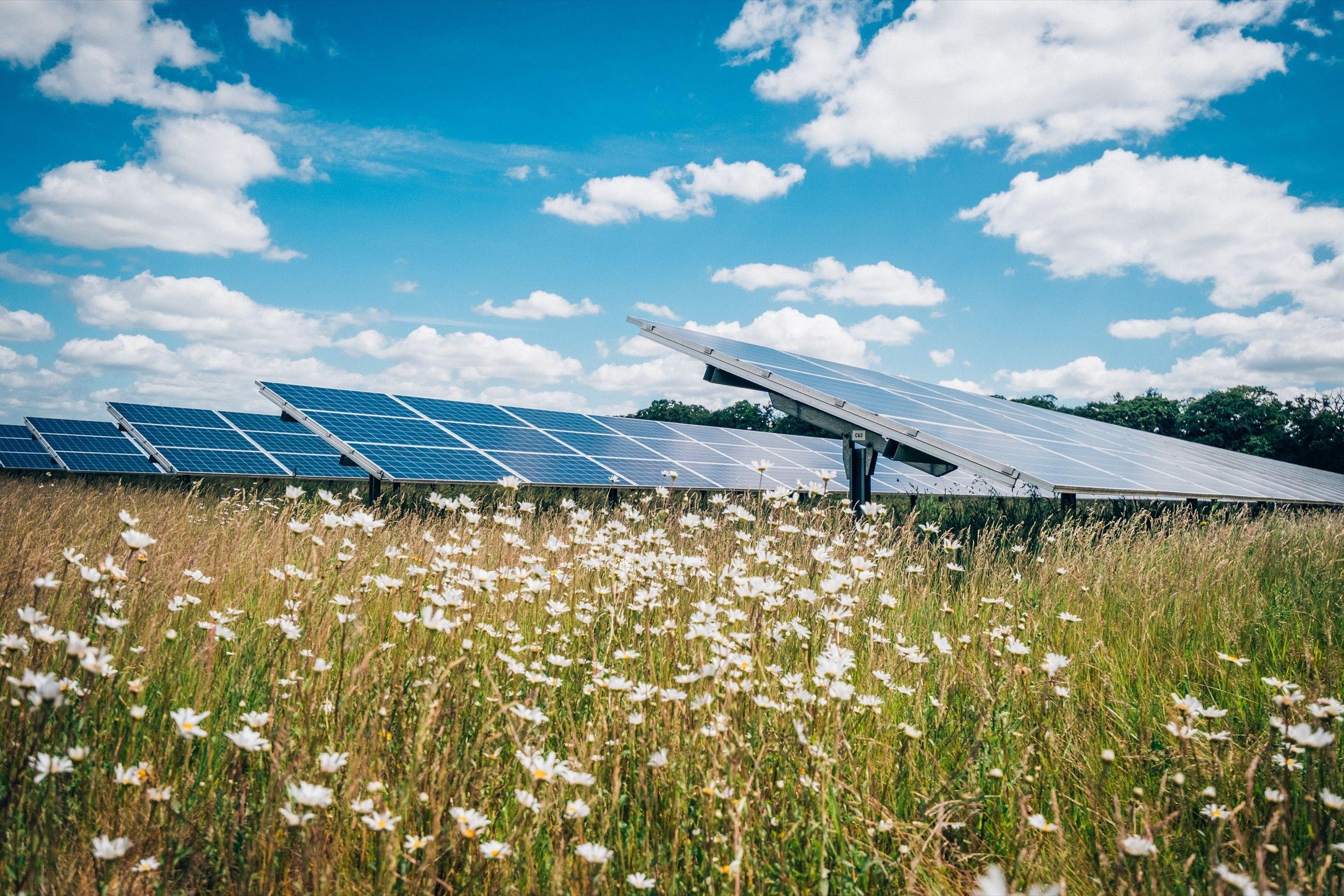 Low Carbon Solar Farm