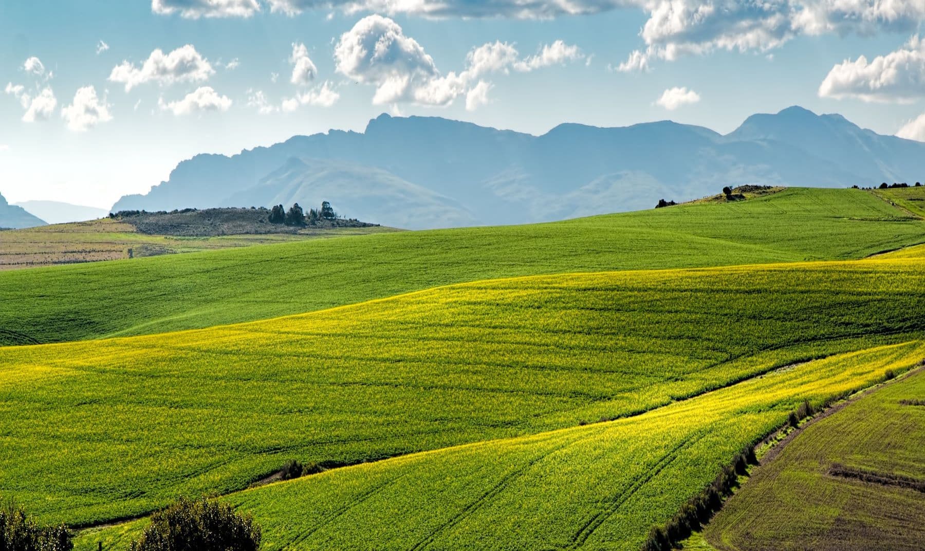 View of green plains with a mountain side in the background