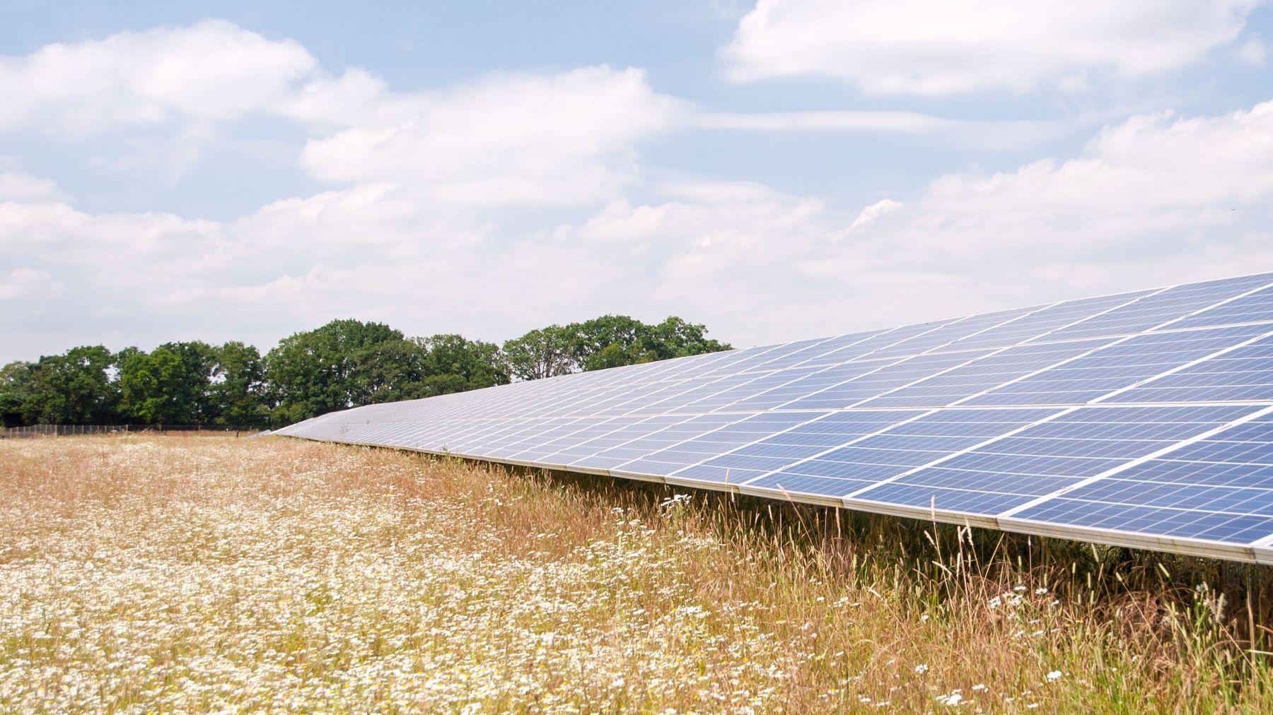 Close up of solar panels